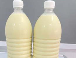 Borhani Shorbot (Half litre)